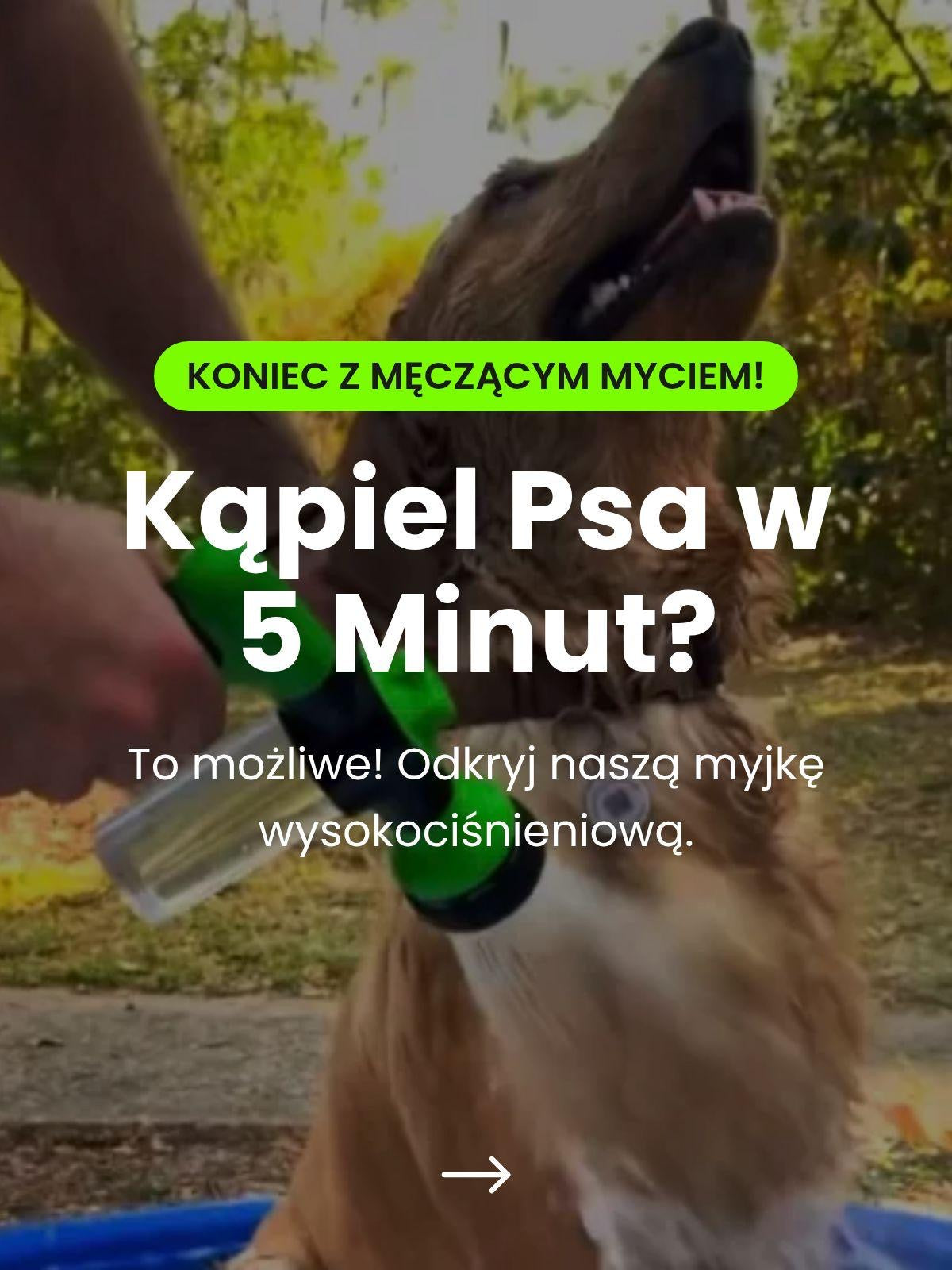 Pistolet do mycia psa – komfortowa kąpiel bez stresu