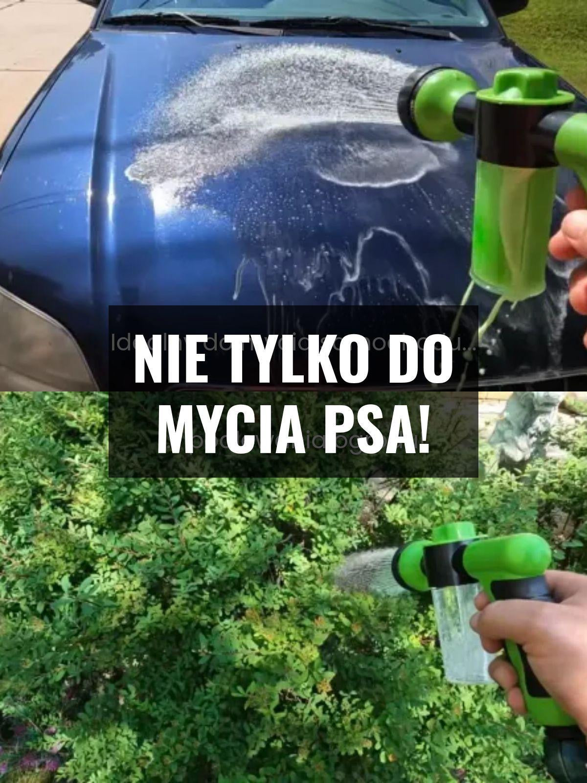 Pistolet do mycia psa – komfortowa kąpiel bez stresu