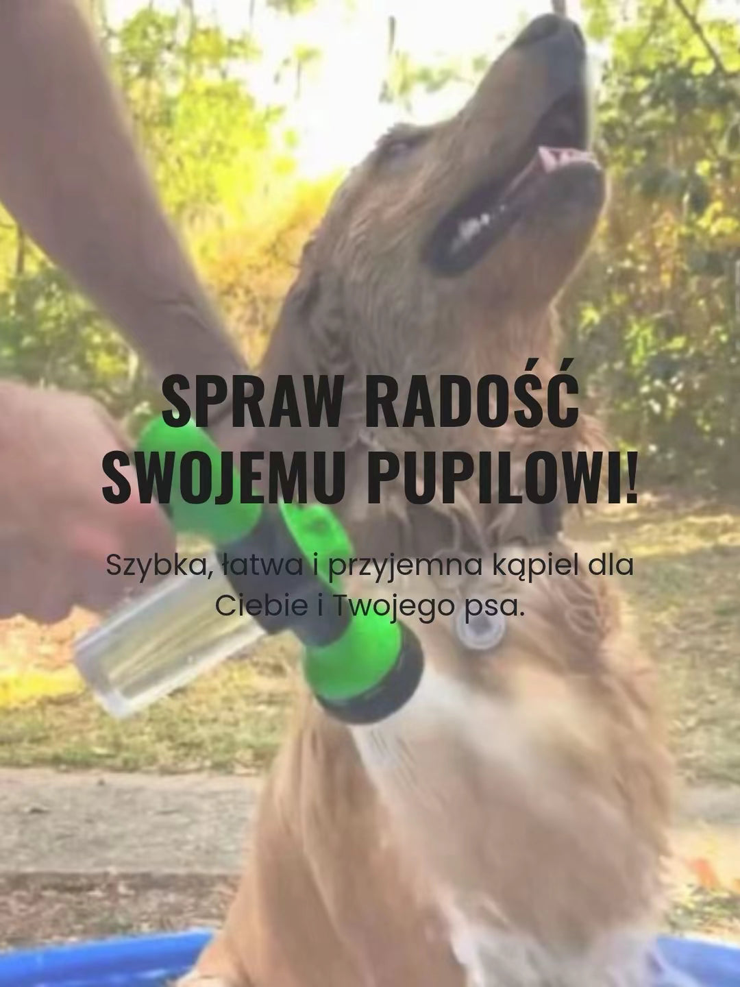 Pistolet do mycia psa – komfortowa kąpiel bez stresu