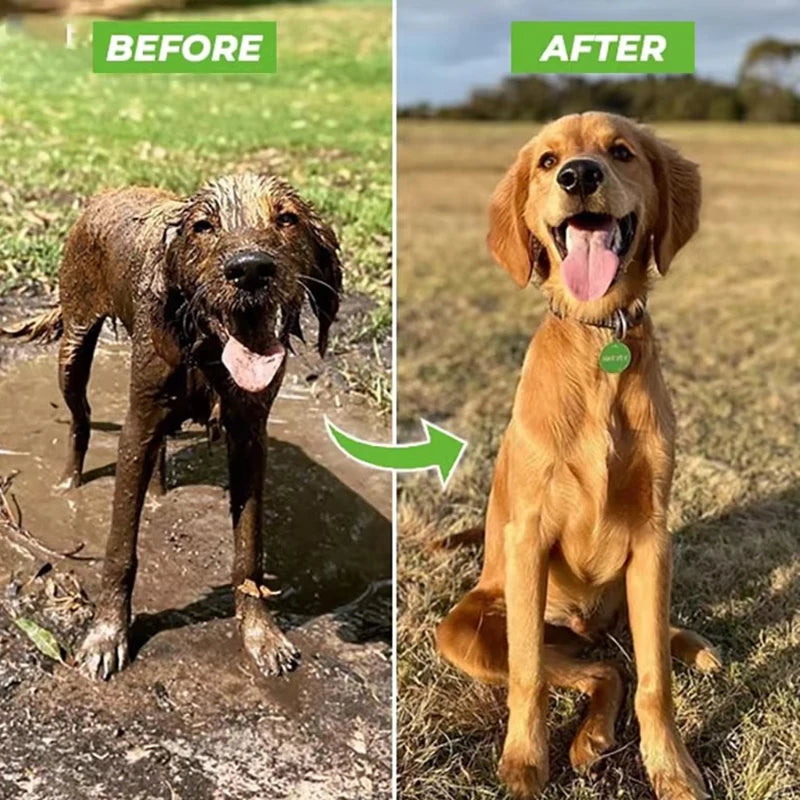 Pistolet do mycia psa – komfortowa kąpiel bez stresu